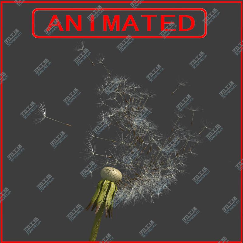 images/goods_img/2021040232/Dandelion 01/1.jpg